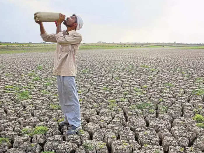 Drought Crop : প্রতীকী ছবি