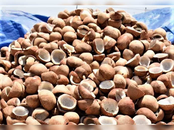 coconut - et tamil