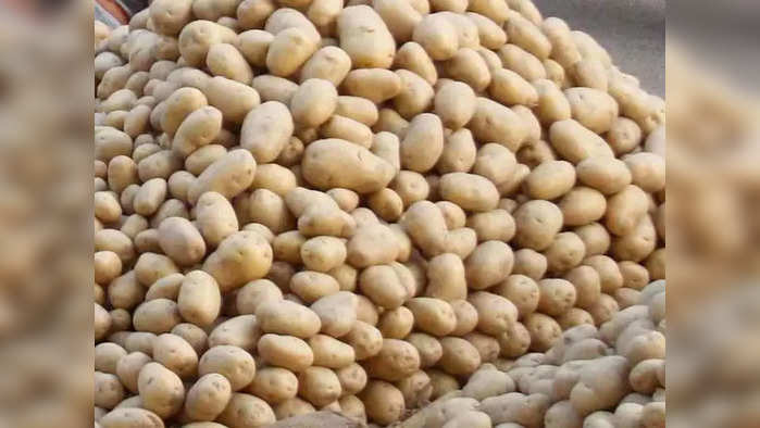 Potato Price: ফাইল ফটো