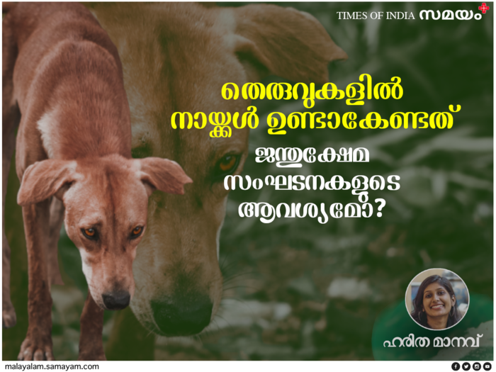Stray dogs Kerala
