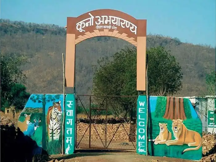 palpur royal family demands fort and land back in kuno wildlife sanctuary, moves court