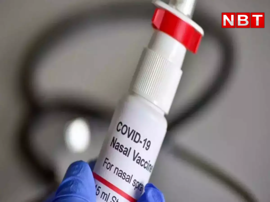 Nasal Covid Vaccine : आ गई नाक से दी जाने वाली कोरोना वैक्सीन, 18+ वालों के लिए भारत बायोटेक के टीके को मंजूरी 