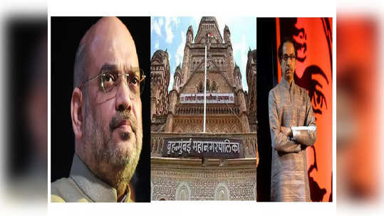 BMC Election: भाजपचा मेगाप्लॅन ठरला, जाणून घ्या काय आहे ८०-३०-४० चा फॉर्म्युला?