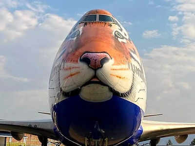 Cheetah in India: चीता लेने चीता बनकर गया नामीबिया गया विमान, देखिए तस्वीरें 