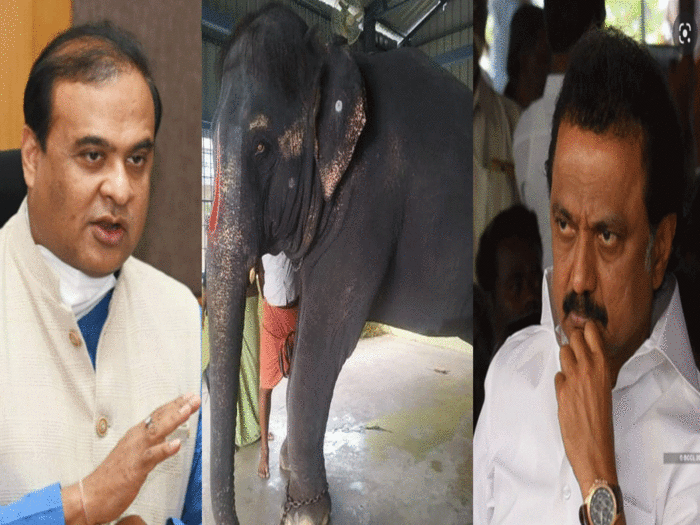 Himanta Biswa sarma and MK Stalin on Elephant row