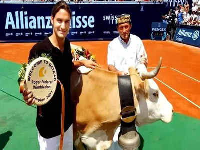 Roger Federer: गौ माता के भक्त हैं रोजर फेडरर, प्यार से गंगा रखा था पहली गाय का नाम 