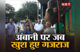 Mukesh Ambani news: देखिए, जब मंदिर में मुकेश अंबानी पर प्रसन्न हुए गजराज