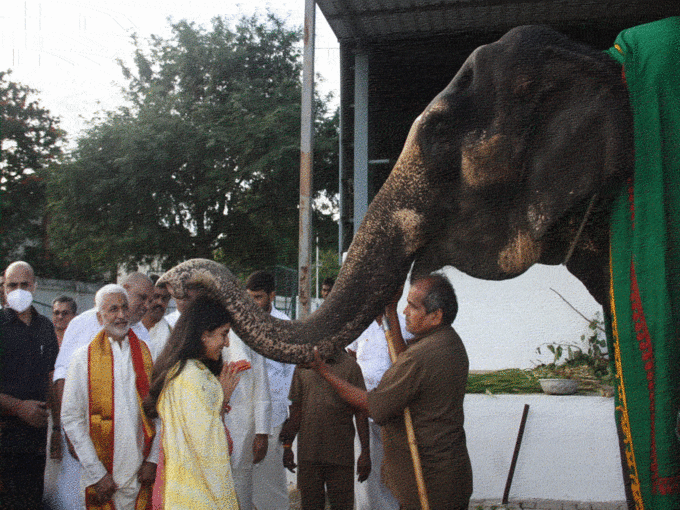 राधिका ने भी लिया हाथी का आशीर्वाद