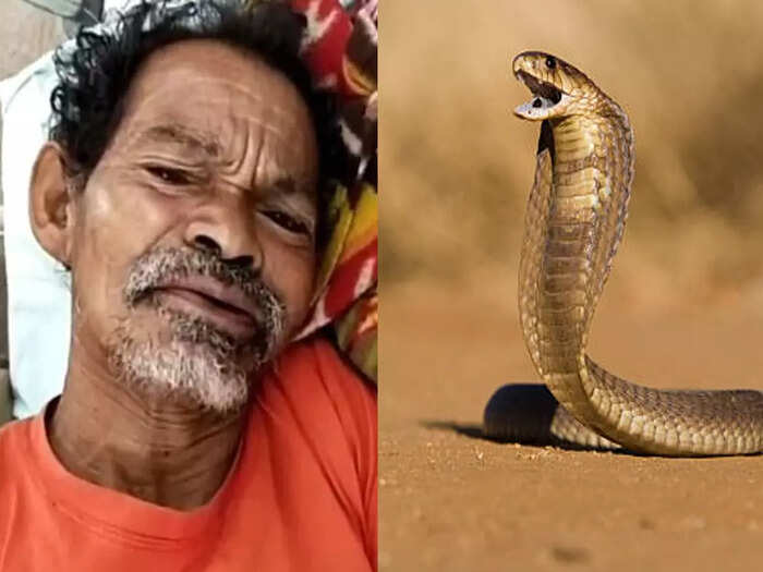 snake snake