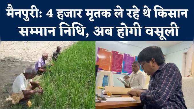 Mainpuri news: 4 हजार मृतक समेत हजारों अपात्र ले रहे थे किसान सम्मान निधि, अब होगी रिकवरी 