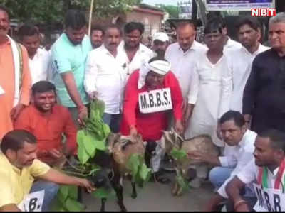 धनबाद: प्रधानमंत्री के जन्मदिन पर युवा कांग्रेस ने बीच सड़क पर चराई बकरी, बेची पकौड़ी... मनाया बेरोजगारी दिवस