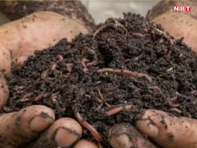 ​जैविक खेती के लिए अमृत मिट्टी का निर्माण