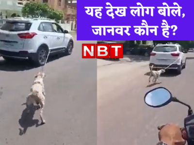 Dog Cruelty Video: कुत्ते के गले में रस्सी बांध कार से घसीट रहा था डॉक्टर... वीडियो देख लोगों ने पूछा, जानवर कौन है? 