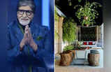 अमिताभ बच्चन यांनी पुन्हा विकत घेतलं नवं घर, १२०० स्क्वेअर फुटासाठी इतके भरले पैसे