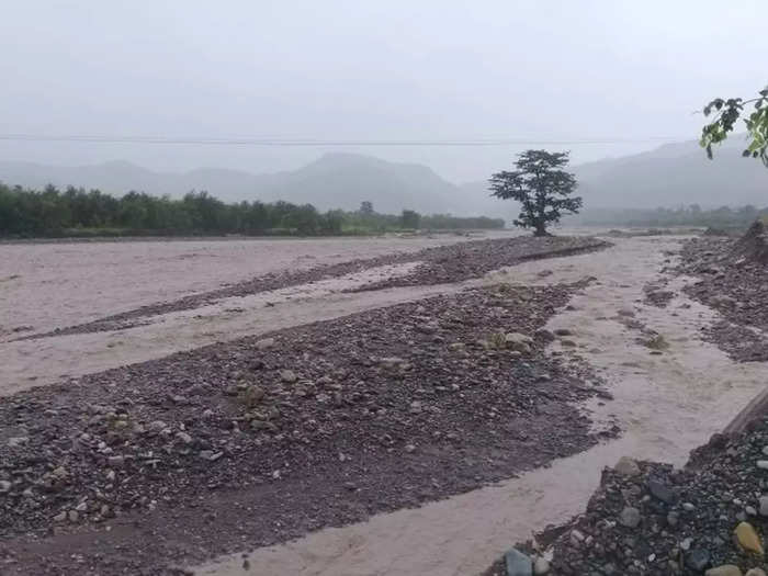 haldhu-tree-jakhan-river