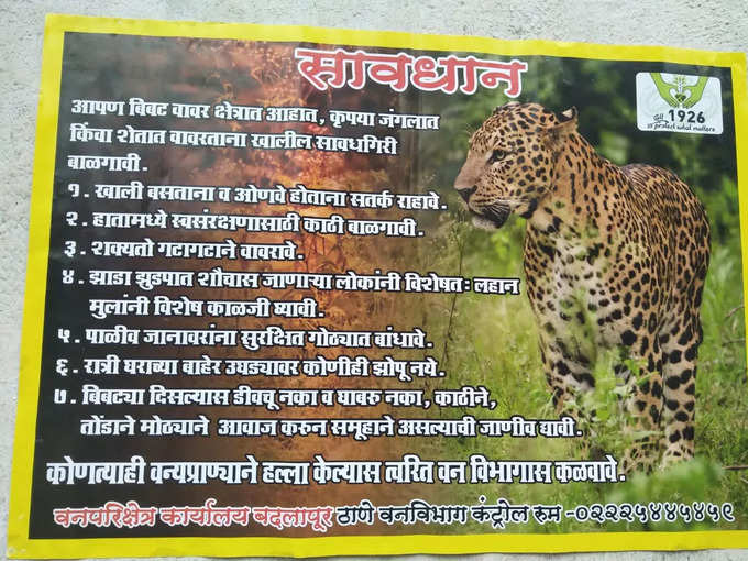 leopard news