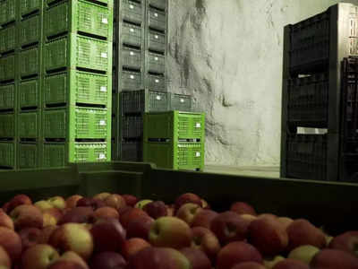 कमाल है! इन किसानों को फ्रिज की कोई जरूरत नहीं, गुफाओं में ही रख दिया हजारों टन सेब 