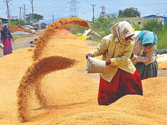 Rice Price May Shoot Up