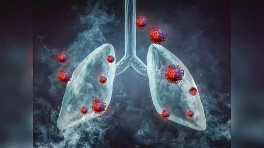 Foods For Healthy Lungs:  Lung Cancer चा धोका कमी करतील हे 5 सुपरफूड, फुफ्फुसात भरलेली घाण देखील फेकून टाकतील