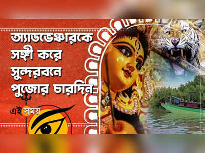Watch: অ্যাডভেঞ্চারকে সঙ্গী করে সুন্দরবনে পুজোর চারদিন