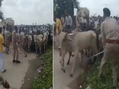 Cows Protest: హైవేలపై 10,000 ఆవులు.. కంట్రోల్ చేయలేక తలలు పట్టుకున్న పోలీసులు