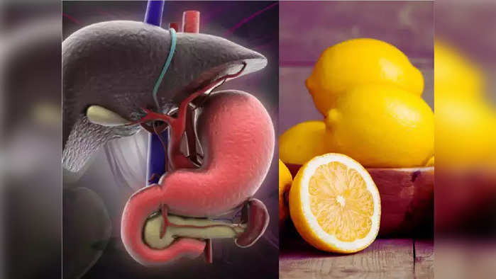 Liver Clean: लिव्हरमधील कचरा व विषारी पदार्थ झटक्यात साफ करतात हे 7 पदार्थ, एक्सपर्ट्स म्हणतात रोज न चुकता खा