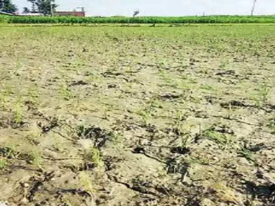 Rajasthan Weather: राजस्थान में आज भी कुछ इलाकों में बारिश का अलर्ट, एंटी-साइक्लोन सिस्टम बनने के आसार