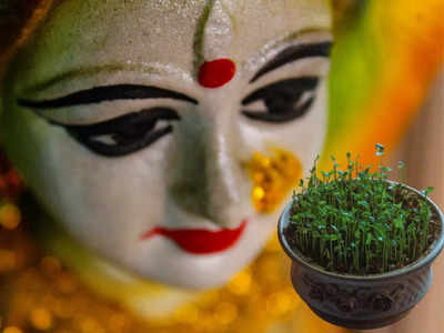 Navratri 2022 Jayanti: ಜಯಂತಿಯ ಮಹತ್ವ ಮತ್ತು ಪ್ರಯೋಜನವೇನದ ಬಗ್ಗೆ ಗೊತ್ತೇ..? 