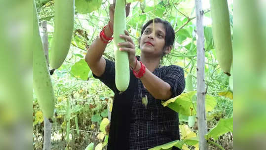 मोठ्या पगाराची नोकरी सोडून 'ती'ने गावात फुलविली शेती; गावकऱ्यांनाही दाखवला रोजगाराचा मार्ग!