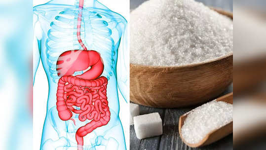 Quitting Sugar : वरचेवर गोड खाताय तर आताच थांबा, शरीर आतून निकामी होतंय, साखरेला नाही म्हणण्याचे 6 फायदे