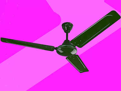 कमरे को फरार्टेदार तेज हवा और एलिगेंट लुक देंगे ये Ceiling Fan, देखें यह 5 बेस्ट विकल्प