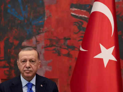 जर्मन नेता ने तुर्की के राष्‍ट्रपति रेसेप तैयप एर्दोगन को बताया सीवर का चूहा, मचा बवाल