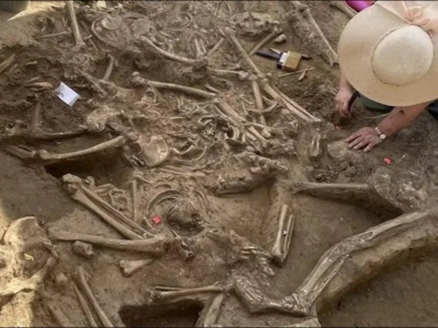 हजारो वर्ष जुनी कबर सापडली, समोरील दृश्य पाहून शास्त्रज्ञांनाही धडकी भरली