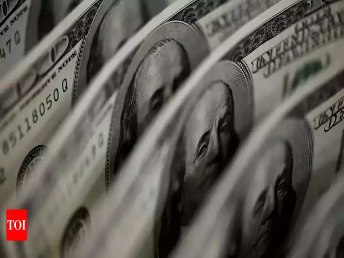 Foreign exchange reserves fall again by dollar 537.518 billion (File Photo)