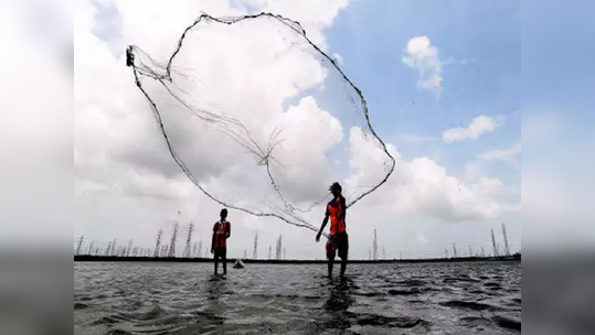 डहाणूचे मच्छिमार पाकिस्तानच्या ताब्यात; १६ भारतीय मच्छिमारांना अटक