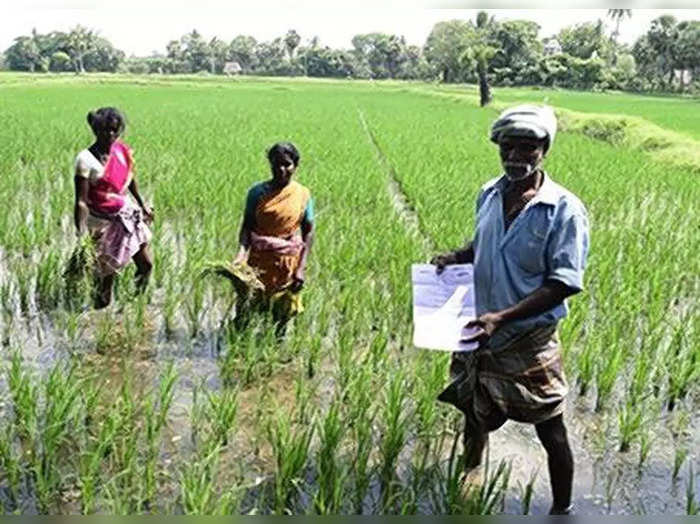 farmer - et tamil