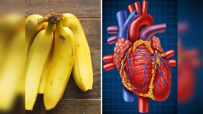 हृदयाची एक आणि एक नस साफ करतील ही 6 फळं, डॉक्टरांनी सांगितलं, कमी होईल Heart Attack चा धोका