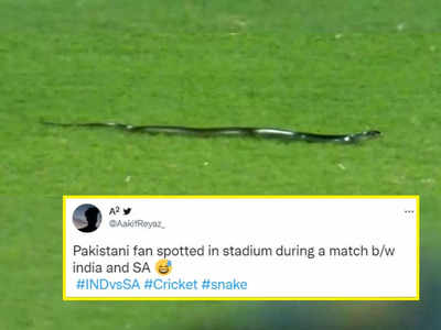 IND Vs SA मैच में देखा गया पाकिस्तानी फैन..., गुवाहाटी में T20 मैच के दौरान मैदान में घुसा सांप