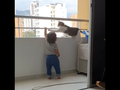 Bodyguard Cat: குழந்தையை பாதுகாக்கும் புத்திசாலி பூனை! வைரல் வீடியோ