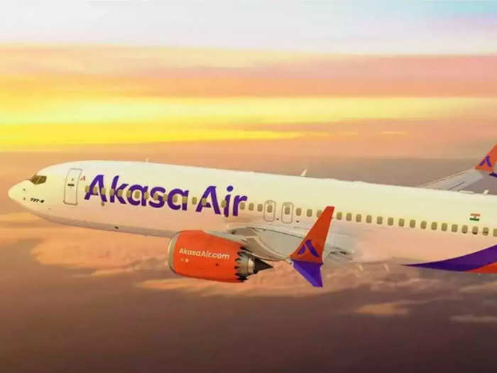 akasa air announces pets can fly on flight