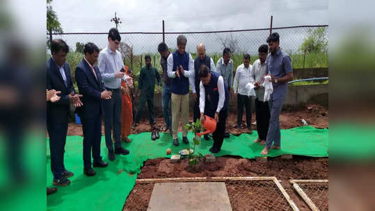 कोल्हापूरमध्ये उसाच्या रानात रबर शेतीचा मळा फुलणार, तळसंदेमध्ये लागवडीचा प्रयोग