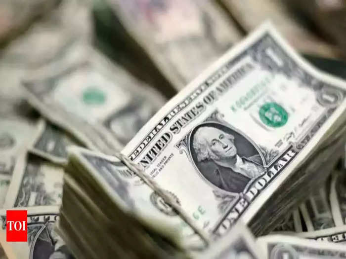 Foreign exchange reserves fall again by $ 4.854 billion (File Photo)