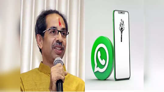 उद्धव ठाकरेंनी WhatsApp डीपी बदलला, मशालीच्या फोटोखाली काय लिहिलं?