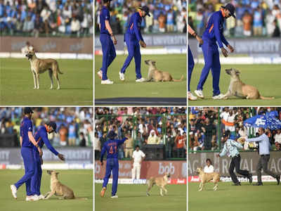 Ind vs Sa: पहले सांप और अब कुत्ता.. बीच मैच मैदान जमकर काटा बवाल, खिलाड़ियों संग मस्ती 
