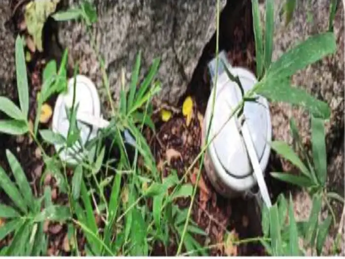 माओवाद्यांचा कट