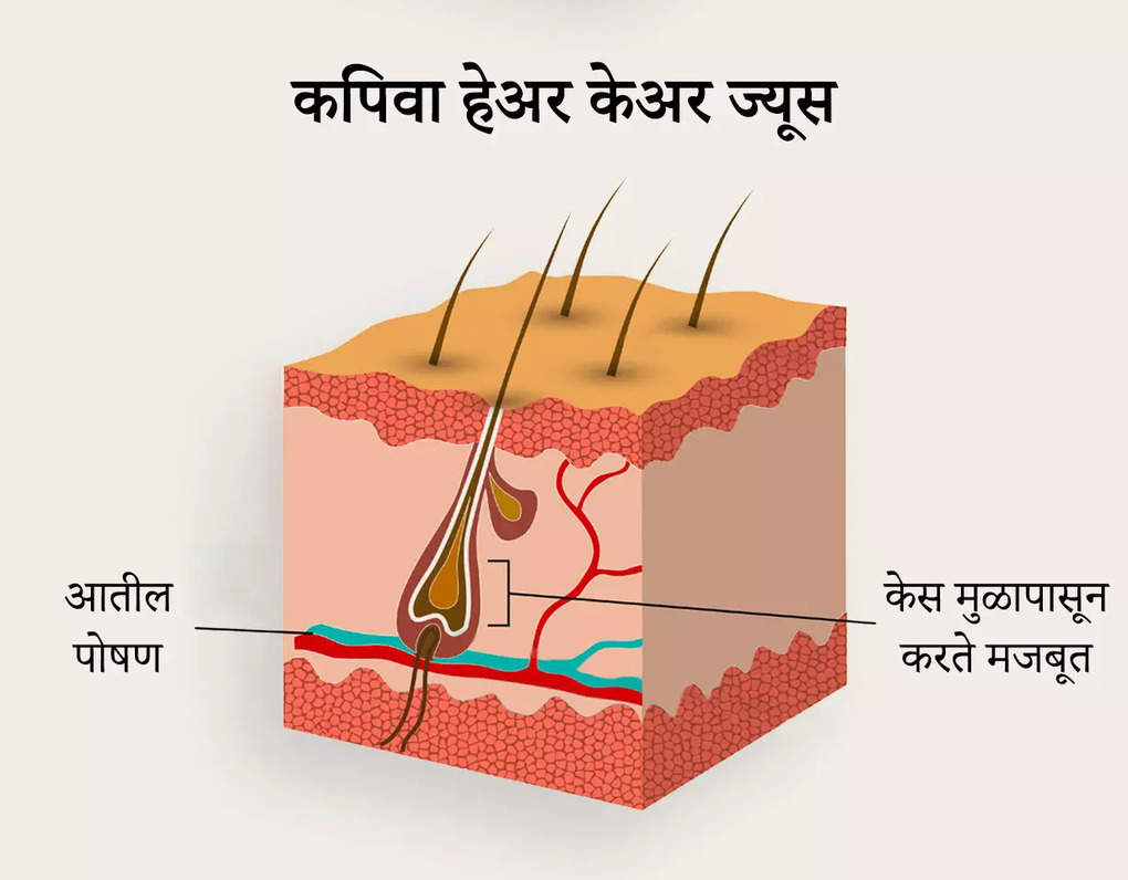 revised marathi image (1)