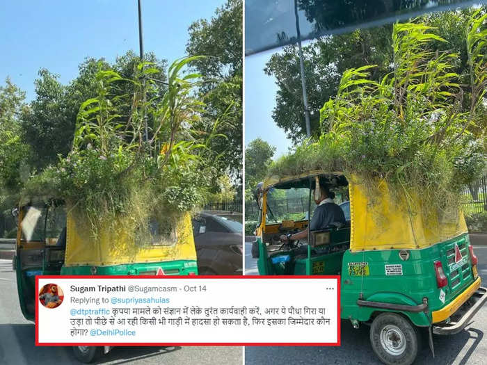 auto mini ac man grown mini garden on the roof of his auto ias says amazing indians