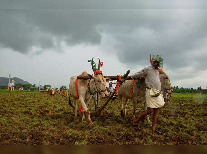 farmers.