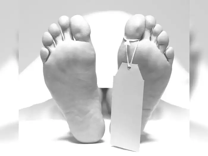 Ludhiana son killed mother