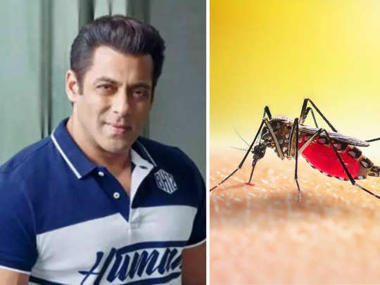 Salman Khan Dengue : बापरे ! सलमान खानला डेंग्यु, Bigg Boss मधून घेणार ब्रेक, अशी काळजी घेणे आवश्यक 